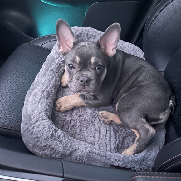 Meet your Posher, Bethany - Picture 1 of 1